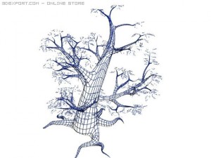 oak tree 3Dモデル