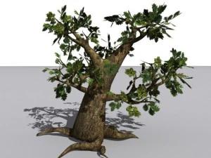 oak tree 3D Model