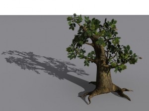 oak tree 3Dモデル