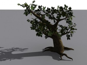oak tree 3Dモデル
