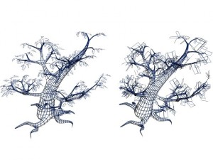oak tree 3Dモデル