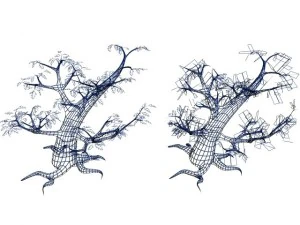oak tree 3D Model