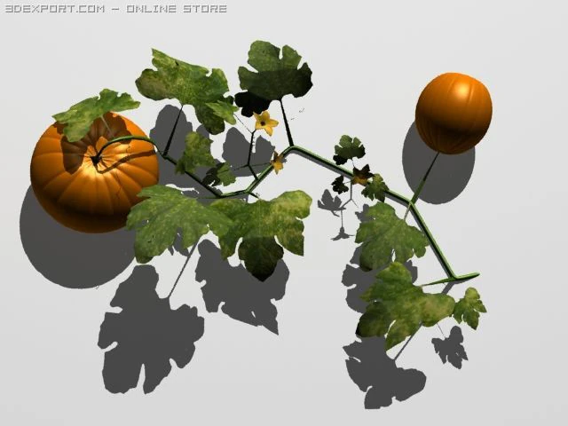 ab&oacute;bora Modelo 3D .c4d .max .obj .3ds .fbx .stl .blend 