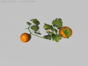 pumpkin 3D 模型