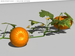 pumpkin 3D 模型