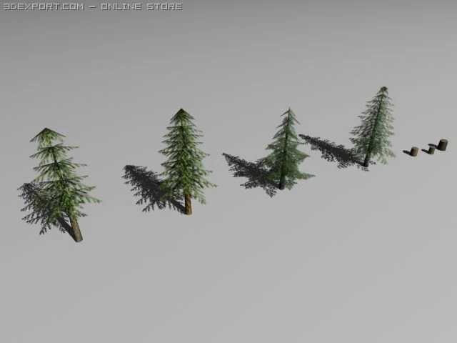 Kiefern 3D Modell .c4d .max .obj .3ds .fbx .stl .blend 