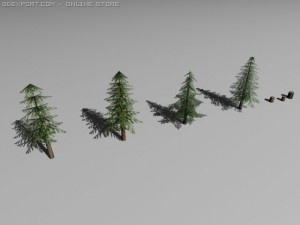pines Modèle 3D