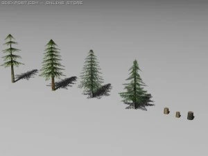 Kiefern 3D Modell