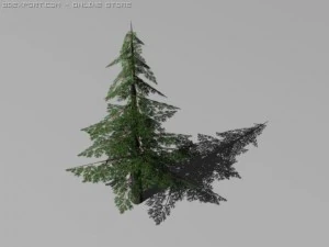 Kiefern 3D Modell