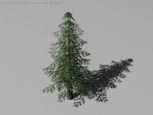 pines 3D Модель