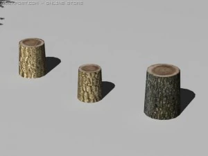 Kiefern 3D Modell
