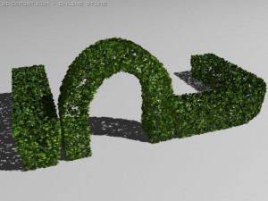 hedge 3Dモデル