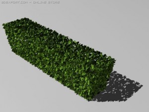 hedge Modelo 3D