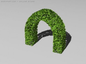 hedge Modelo 3D