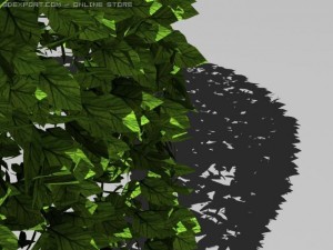 hedge Modelo 3D