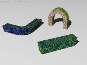 hedge Modelo 3D
