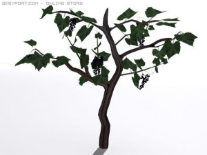 wine tree 3D Model