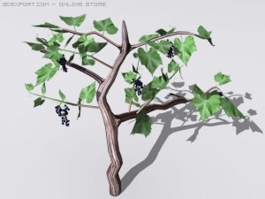 wine tree 3D Model