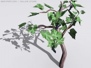 wine tree 3D Model