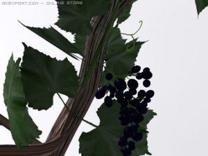 wine tree 3D Model