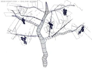 wine tree 3D Model