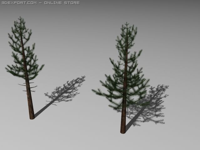 pine trees Modelo 3D .c4d .max .obj .3ds .fbx .stl .blend 