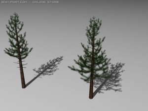 pine trees 3Dモデル