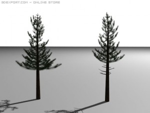 pine trees Modelo 3D