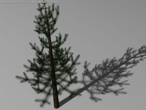 pine trees Modelo 3D