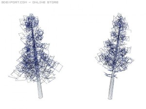 pine trees Modelo 3D