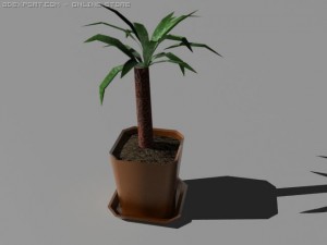 potted plant yucca aloifolia 3D Model
