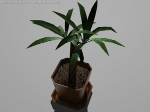 potted plant yucca aloifolia 3D Model