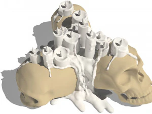 skull candle 3D Model