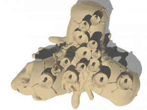 skull candle 3D Model