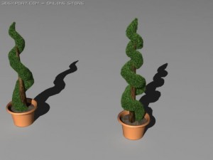 boxwood Modelo 3D