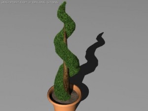 boxwood 3D Модель