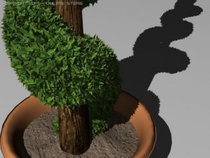 boxwood 3D Модель
