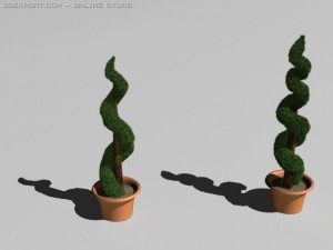 boxwood 3D Модель