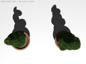 boxwood 3D Модель