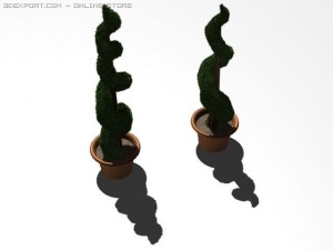 boxwood 3D Модель