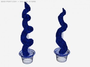 boxwood 3D Модель