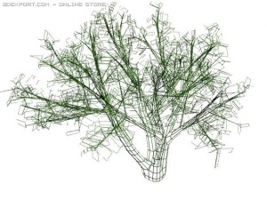 cherry laurel Model 3D