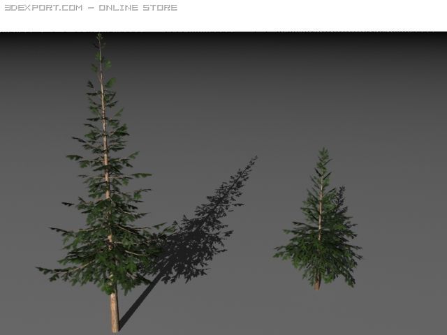 two pine trees 3D 模型 .c4d .max .obj .3ds .fbx .stl .blend 