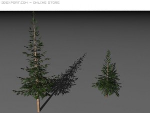 two pine trees Modèle 3D