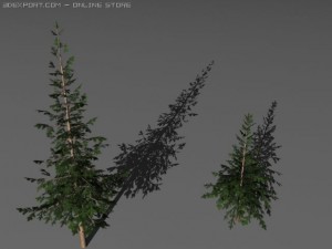 two pine trees 3D 模型
