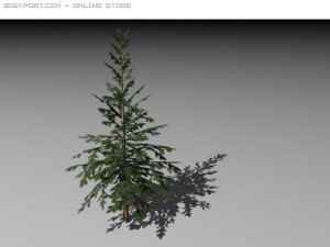 two pine trees 3D 模型