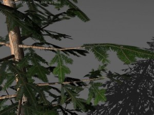 two pine trees 3D 模型