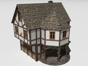 old house 3D Model