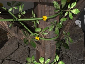 old house 3D Model