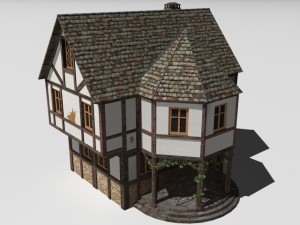 old house 3D Model